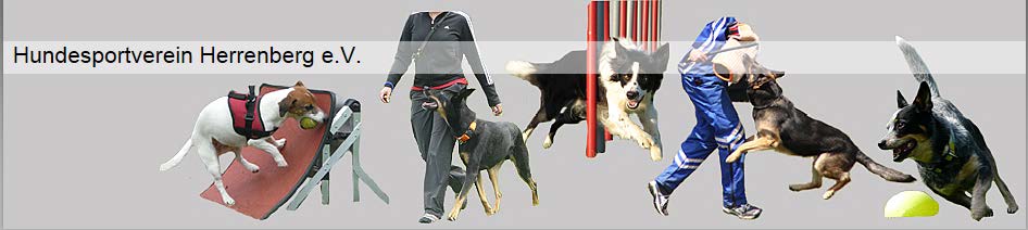 HSV Herrenberg