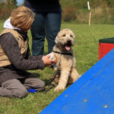 Doktorspiel 21 09 08 004