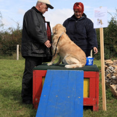 Doktorspiel 21 09 08 005