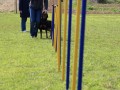 20m Slalom 21 09 08 001