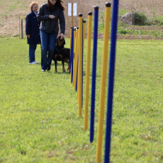 20m Slalom 21 09 08 001