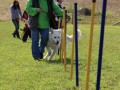 20m Slalom 21 09 08 006