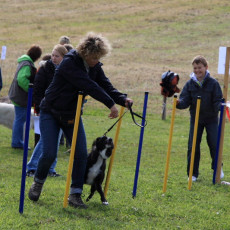 20m Slalom 21 09 08 009