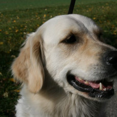 2008 10 18 Teamtest klein 0017 0