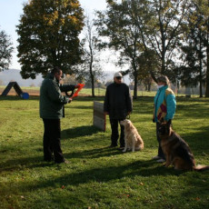 2008 10 18 Teamtest klein 0029