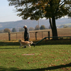 2008 10 18 Teamtest klein 0031