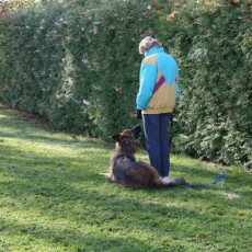 2008 10 18 Teamtest klein 0044