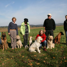 2008 10 18 Teamtest klein 0100 0