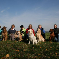 2008 10 18 Teamtest klein 0084