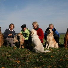 2008 10 18 Teamtest klein 0091