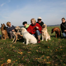 2008 10 18 Teamtest klein 0093