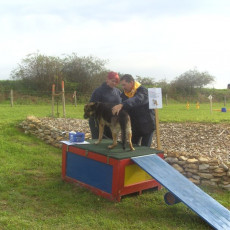 Sommerfest 2008 i 009