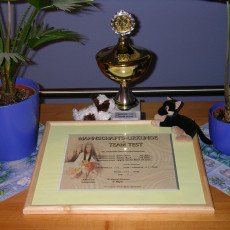 Teamstest Mannschaft0007