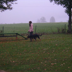 Teamtest HSV 20070001