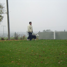 Teamtest HSV 20070007