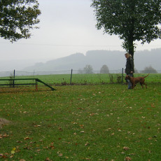 Teamtest HSV 20070011