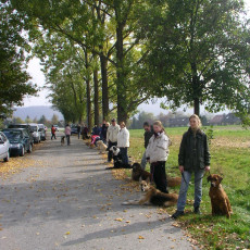 Teamtest HSV 20070012