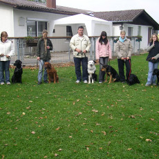 Teamtest HSV 20070015