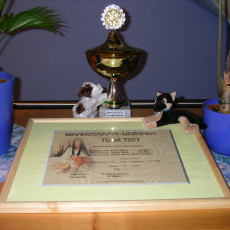 Teamtest Mannschaft0004