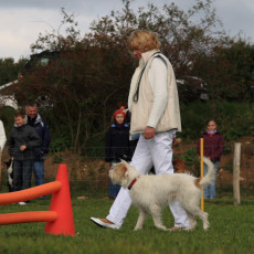 Gruppe2 21.09.2008 14 29 31