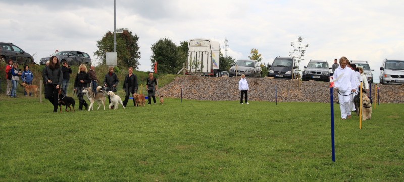 Gruppe4 Quadrille 21 09 08 002 21.09.2008 15 02 56