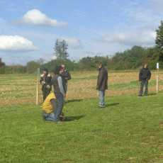 Sommerfest 2008 i 016