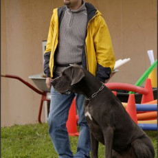 2008 SF Dittus 040 0