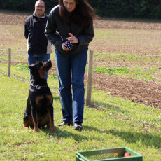 Korbspiel 21 09 08 001