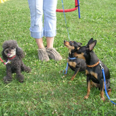 Uschi s Vormittagsgruppe0011 i