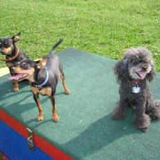 Uschi s Vormittagsgruppe0040 i