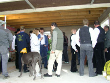 Bau der Hundeschule und Hundepension