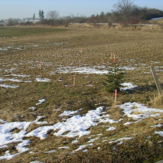 2006 02 03 Abstecken der Geb  ude004i