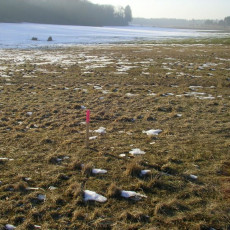 2006 02 03 Abstecken der Geb  ude009i