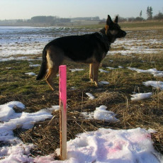 2006 02 03 Abstecken der Geb  ude011i