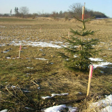 2006 02 03 Abstecken der Geb  ude012i