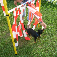 Uschi s Vormittagsgruppe0014 i