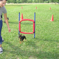 Uschi s Vormittagsgruppe0018 i