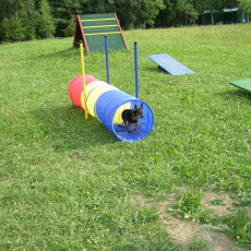 Uschi s Vormittagsgruppe0019 i