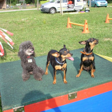 Uschi s Vormittagsgruppe0041 i